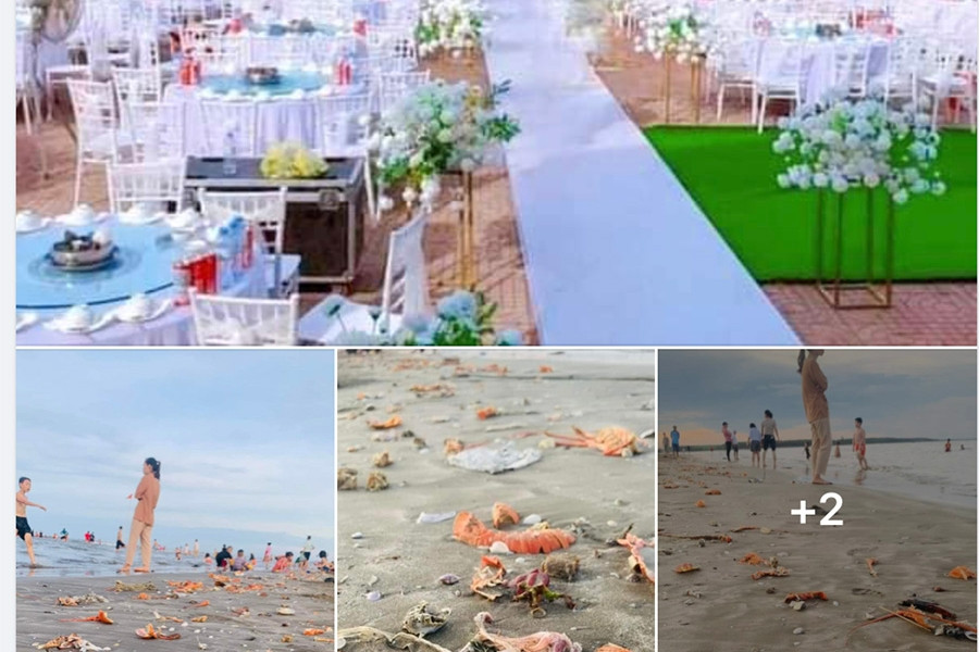 Bãi biển ngập rác tôm hùm, vỏ ghẹ sau đám cưới 'như mơ' ở resort sang chảnh