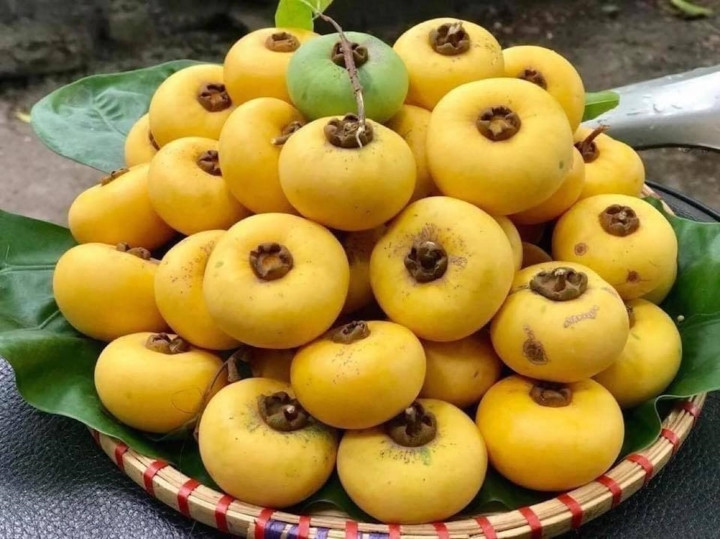 Loại quả 'gây thương nhớ' vào mùa, giá chát gần 200.000 đồng/kg vẫn cháy hàng - 1