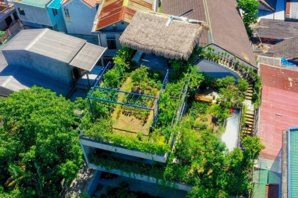 Ông bố 'khùng' đưa bể bơi, vườn cây lên mái nhà 250m2 thay cho máy điều hòa