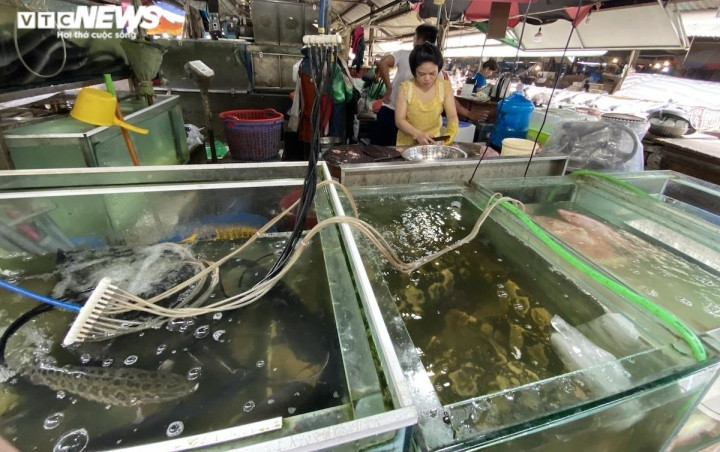 Cá rô, cá quả đội giá gấp đôi, người mua và người bán cùng 'méo mặt' - 1