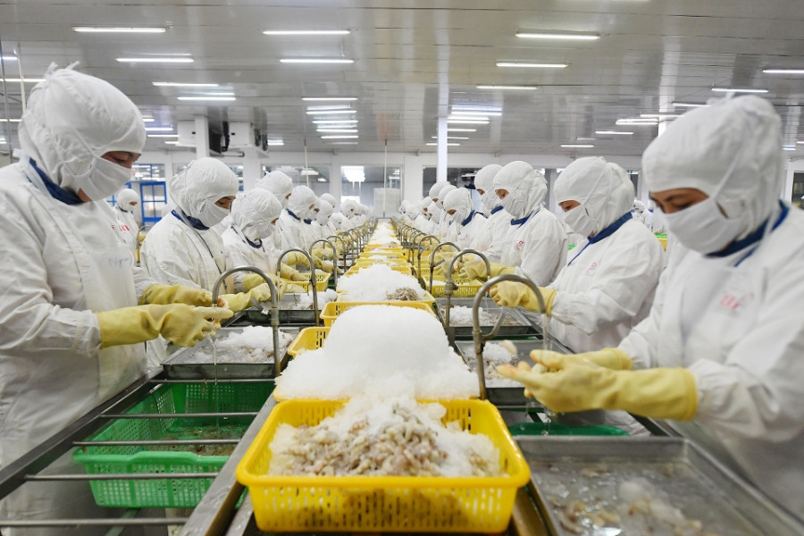 Món hàng Việt 10 tỷ USD: Mỹ thành khách hàng lớn nhất, Trung Quốc tăng mua gấp đôi