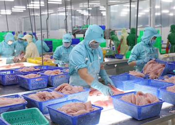 Vietnam's tra fish exports to UK soar six-fold