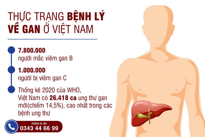 Báo động thực trạng bệnh lý về gan