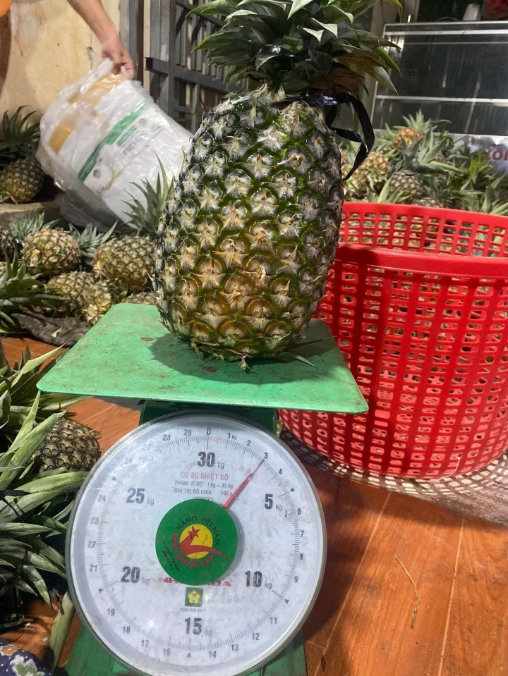 Dứa khổng lồ siêu rẻ hút khách, nườm nượp khách mua - 2