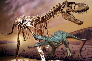 Bán đấu giá bộ xương hoàn chỉnh của loài khủng long mạnh hơn cả khủng long bạo chúa