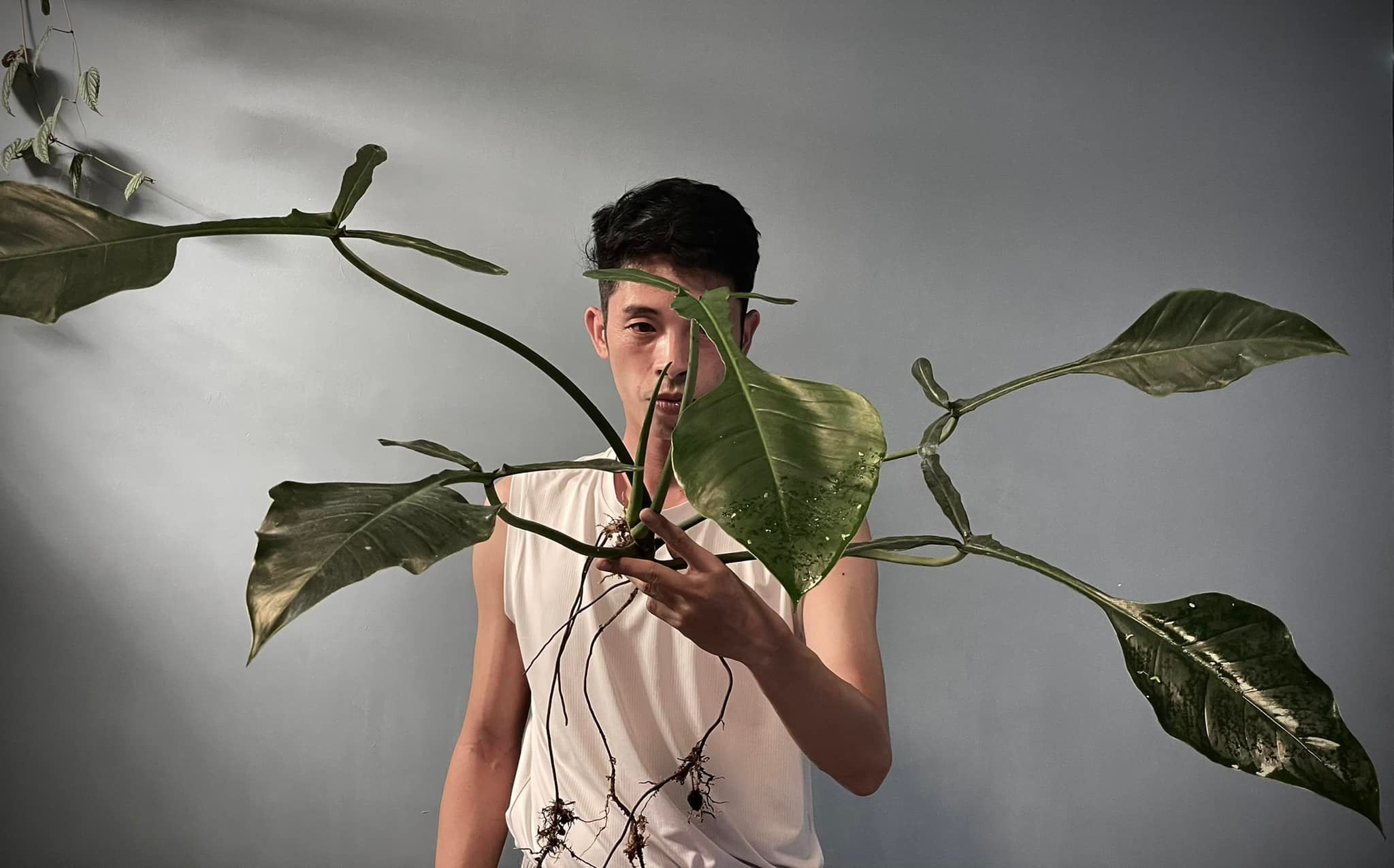 Lạ lùng chàng trai Hà Nội xây rừng trong căn chung cư tầng 18 - 1