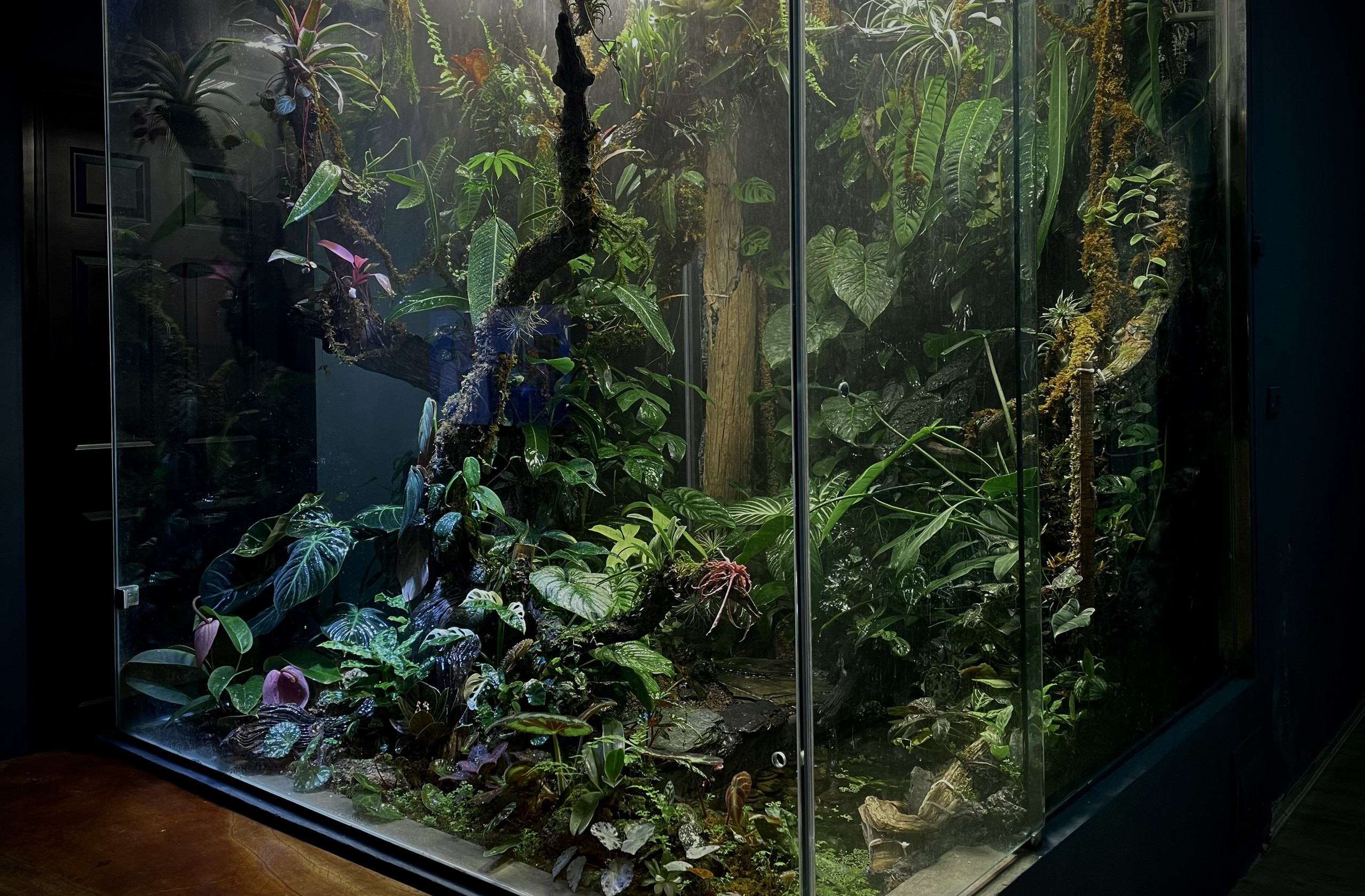 Lạ lùng chàng trai Hà Nội xây rừng trong căn chung cư tầng 18 - 4