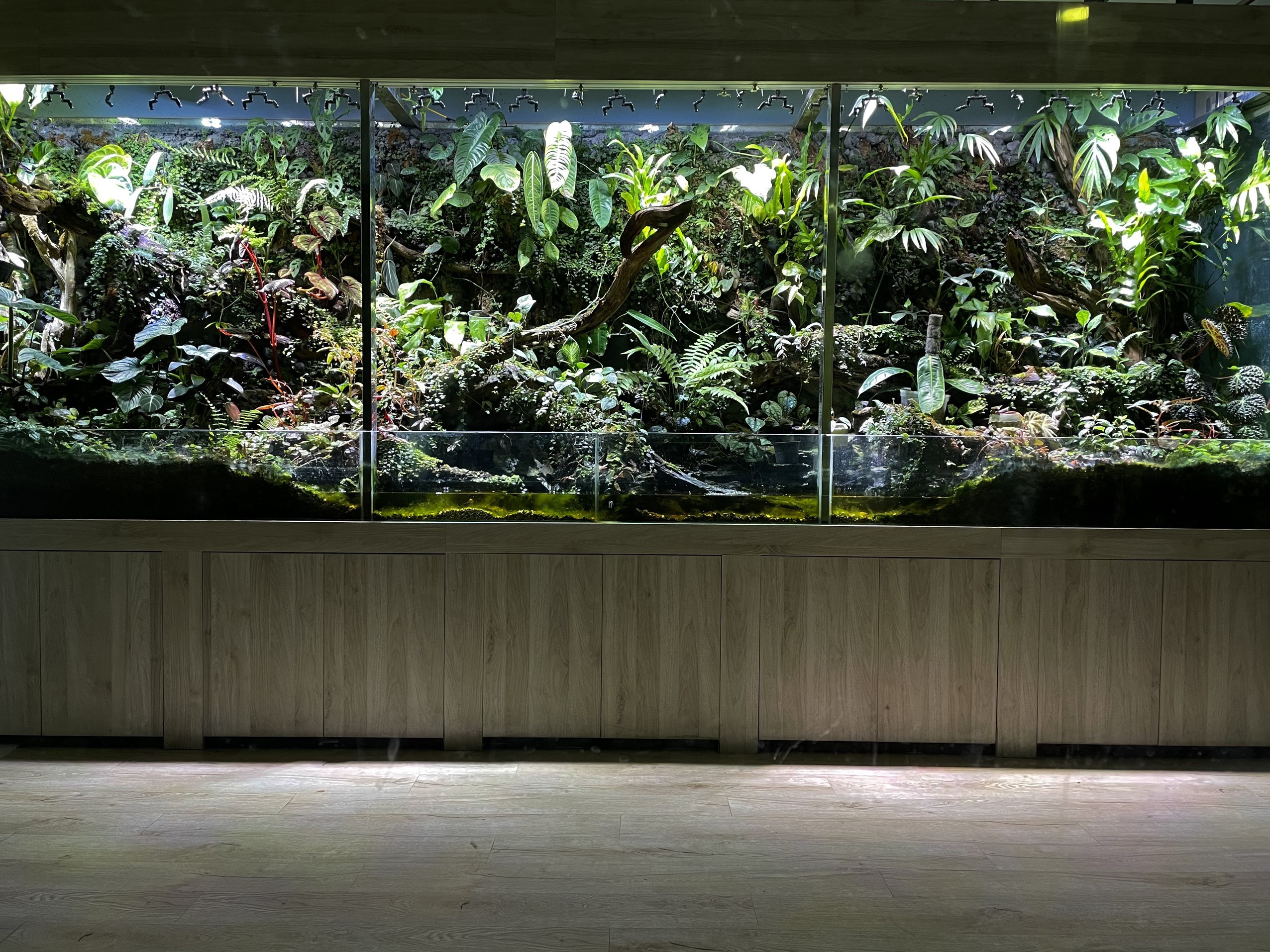 Lạ lùng chàng trai Hà Nội xây rừng trong căn chung cư tầng 18 - 2