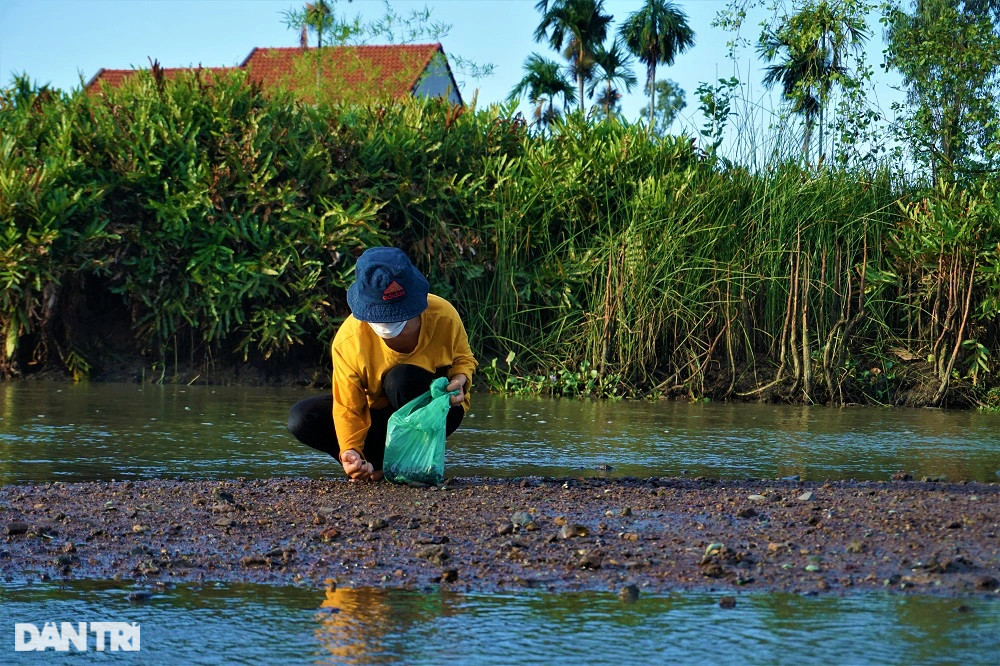 Lội bùn, vạch cỏ tìm loại ốc nhà nghèo, giờ thành đặc sản ra tiền - 7