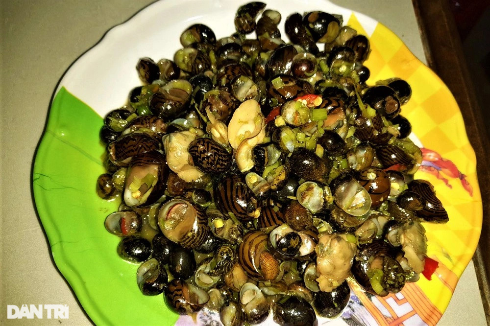 Lội bùn, vạch cỏ tìm loại ốc nhà nghèo, giờ thành đặc sản ra tiền - 13