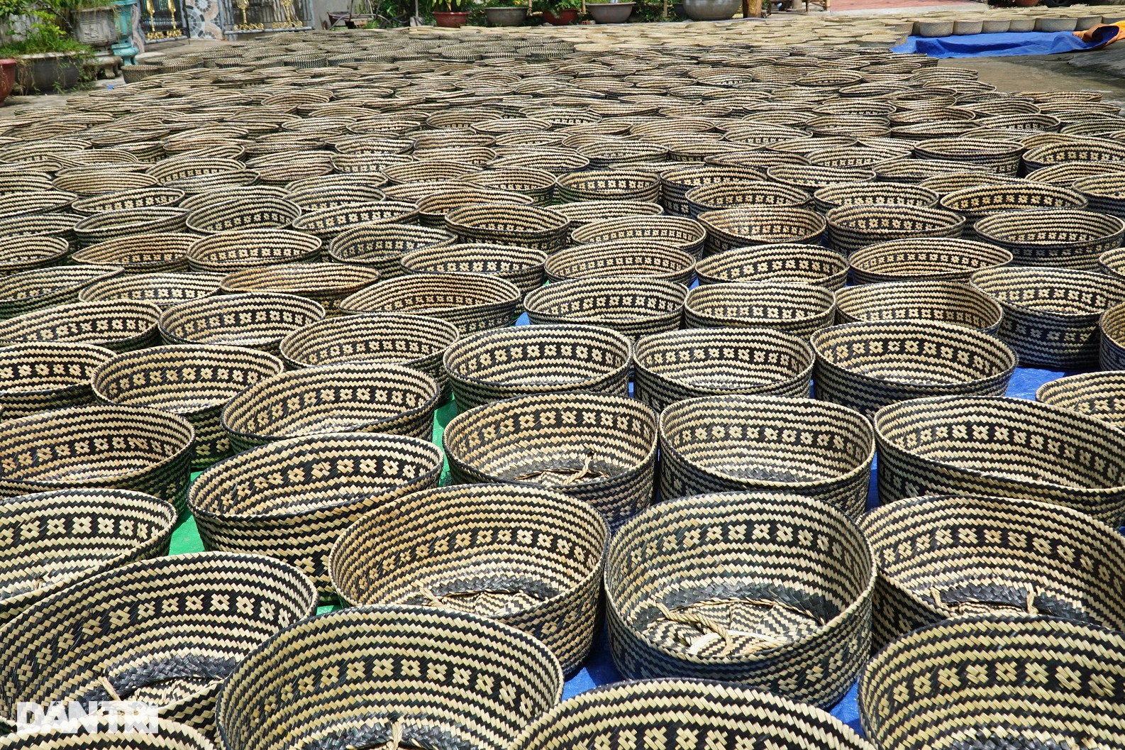 Nghề quanh năm ngồi gảy tay, biến cỏ dại thành hàng hiệu - 3