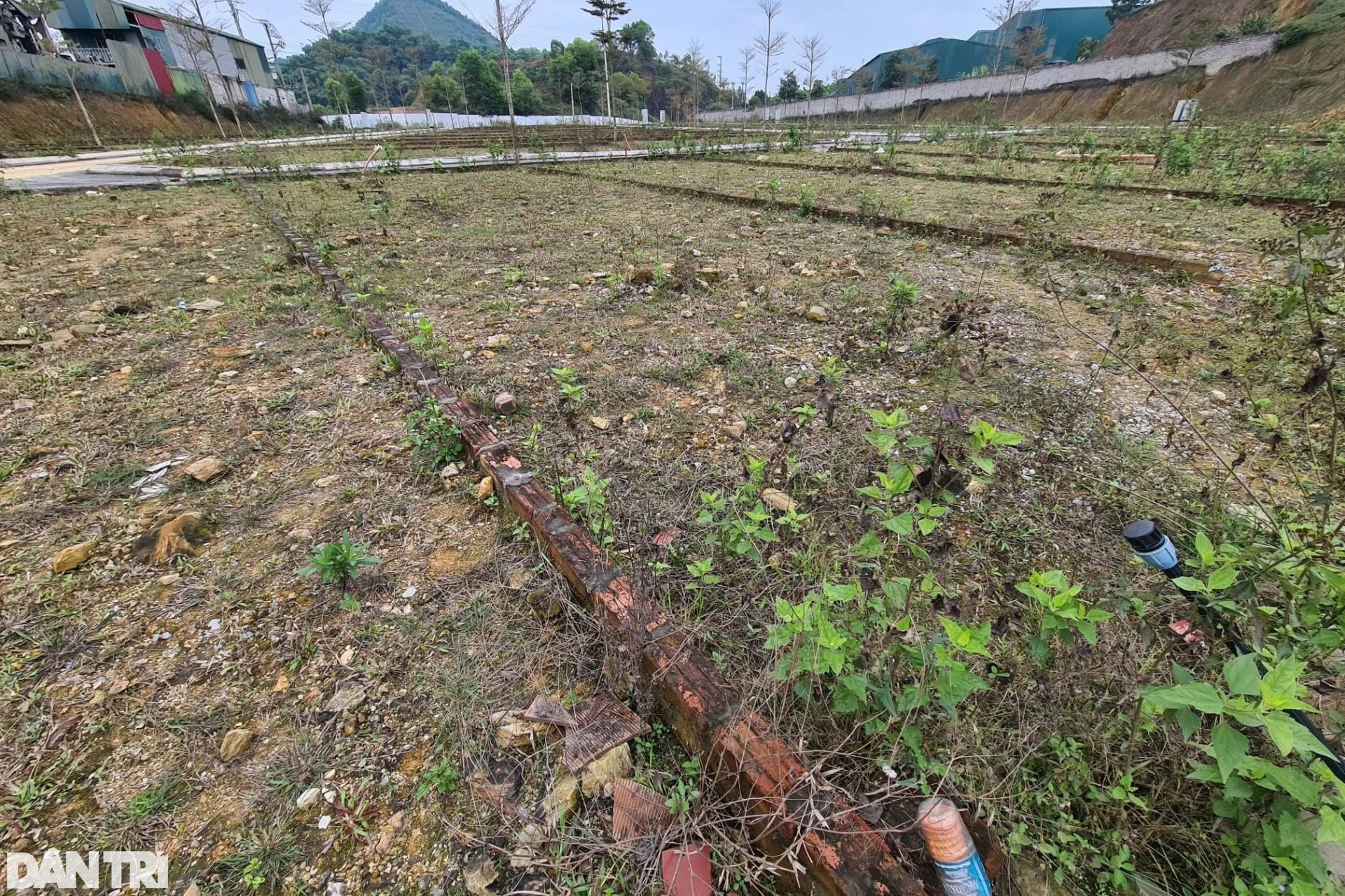 Sốt đất vùng ven Hà Nội hạ nhiệt, nhà đầu tư tính bán tháo - 1