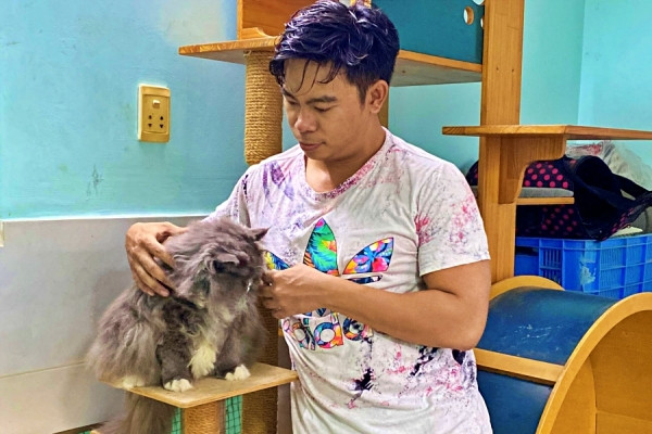 Chàng trai bỏ việc về dựng nhà, đỡ đẻ cho mèo hoang