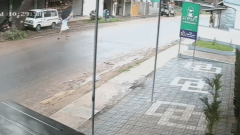 Hú hồn cây xanh bật gốc đổ ập xuống người đi bộ trên đường