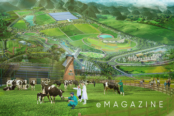 Thiên đường sữa Mộc Châu đánh thức tiềm năng nông nghiệp, du lịch vùng Tây Bắc