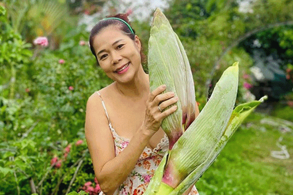 Trang trại vạn người mê của Mỹ Lệ và chồng đại gia