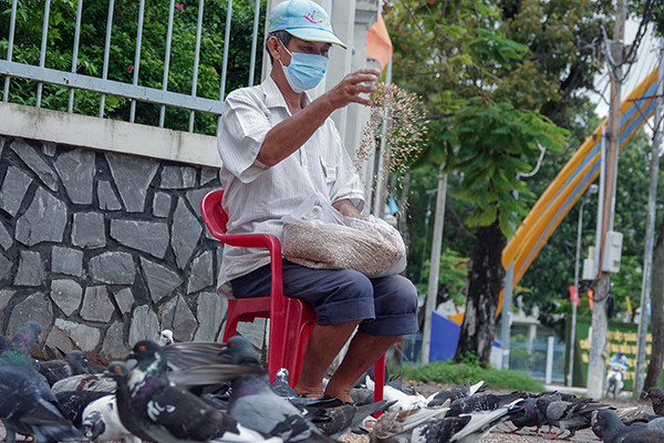 Người đàn ông 10 năm 'cưu mang' đàn chim trời giữa lòng Tây Đô