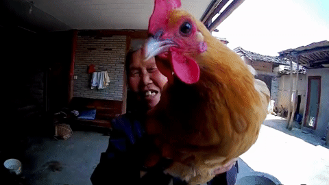 Video xúc động người bà chia sẻ cuộc sống hằng ngày với cháu trai qua camera