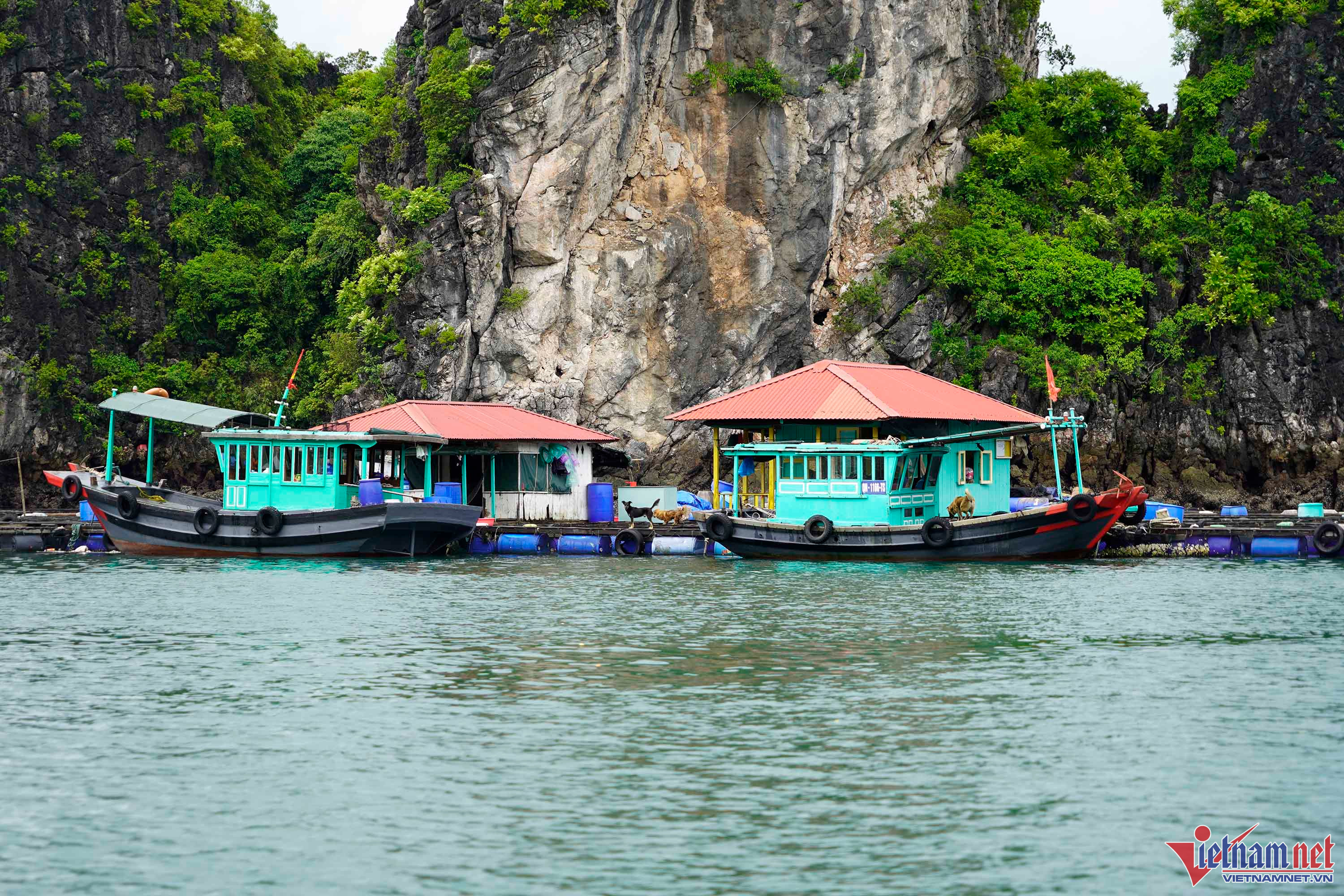 Quảng Ninh cấm biển từ 12h hôm nay để ứng phó bão số 2