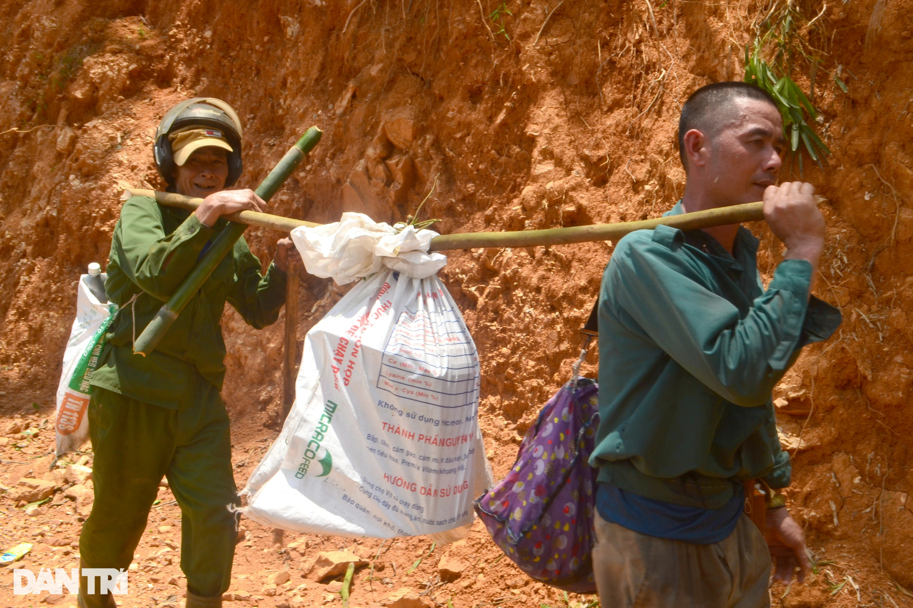 Tuyệt chiêu dùng màn bắt dế rừng kiếm tiền triệu mỗi ngày - 8