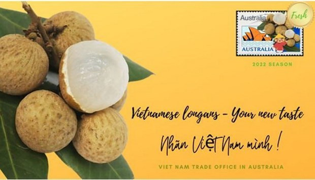Ten tonnes of Vietnamese longan exported to Australia hinh anh 1