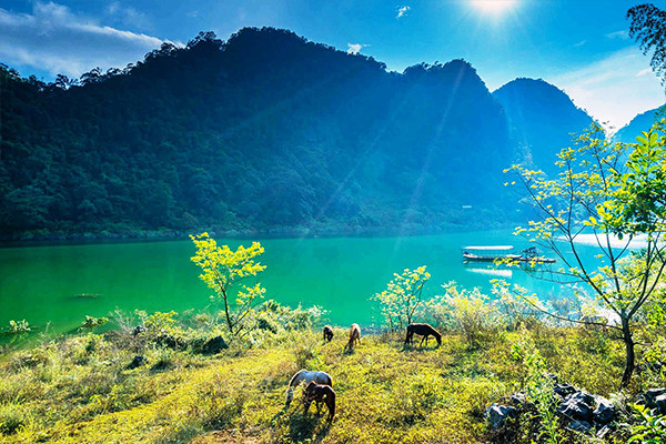 Nền tảng du lịch Đan Mạch điểm danh top 8 địa điểm đẹp nhất Việt Nam