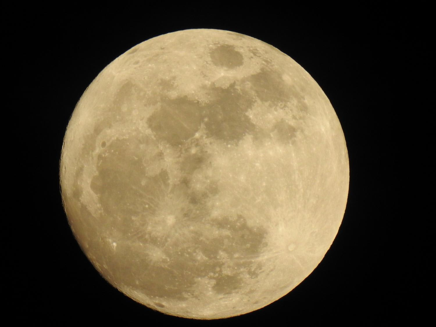 Ánh trăng  335503 Ảnh vector và hình chụp có sẵn  Shutterstock