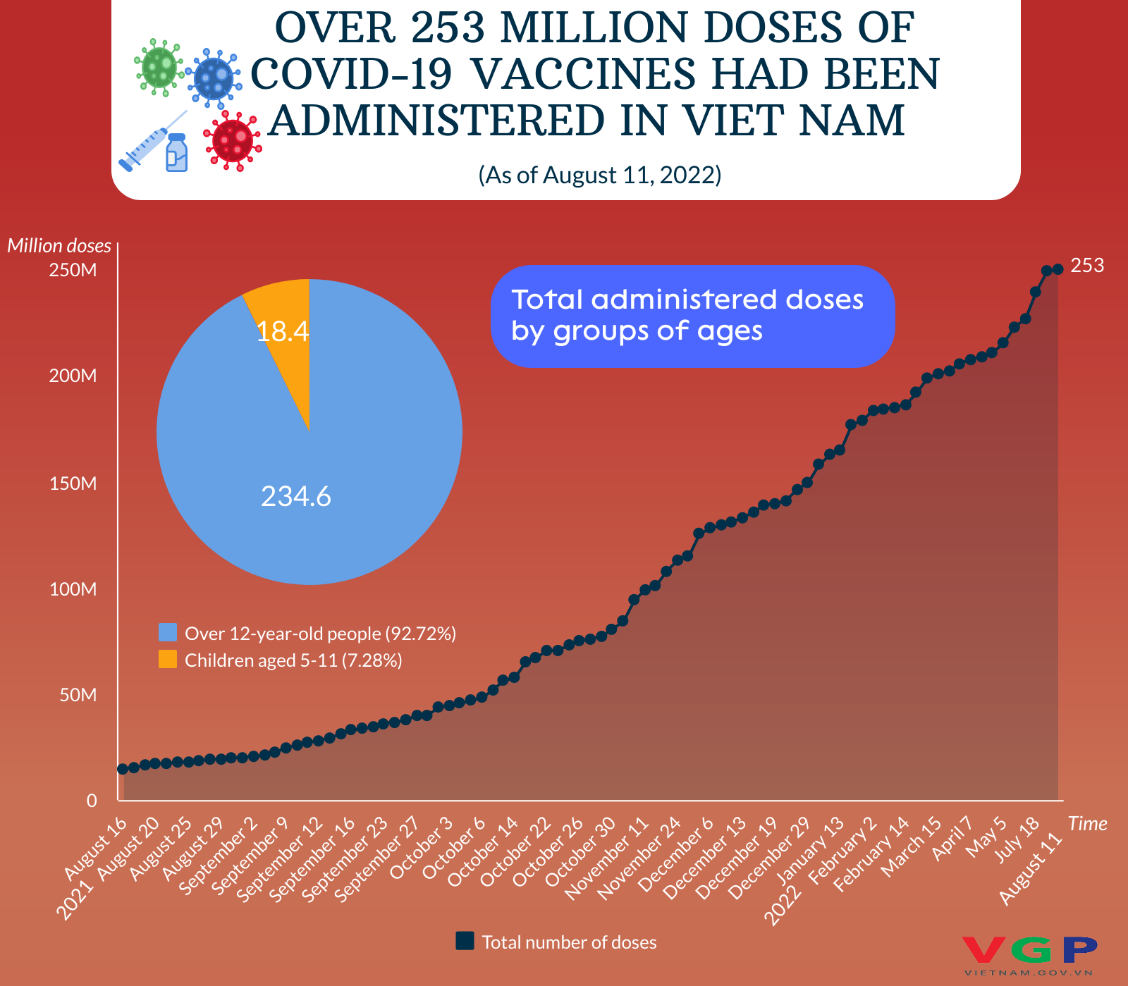 Viet Nam yet rolls out Covid jabs for under-5s  - Ảnh 2.