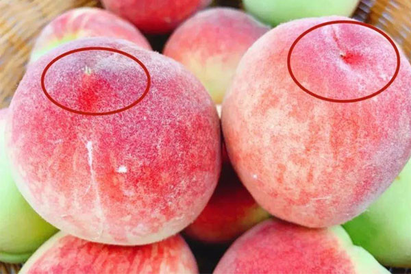 Khi mua đào, hãy chọn đào