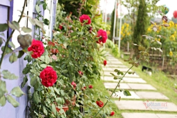 Chồng phẫn nộ khi phát hiện vợ ngoại tình với em trai ruột của mình