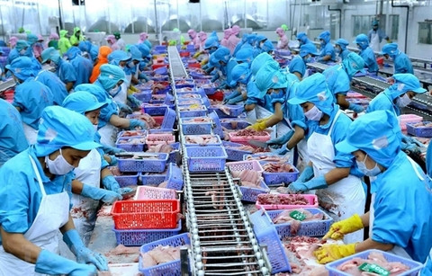 Mexico is largest consumer of Vietnamese pangasius