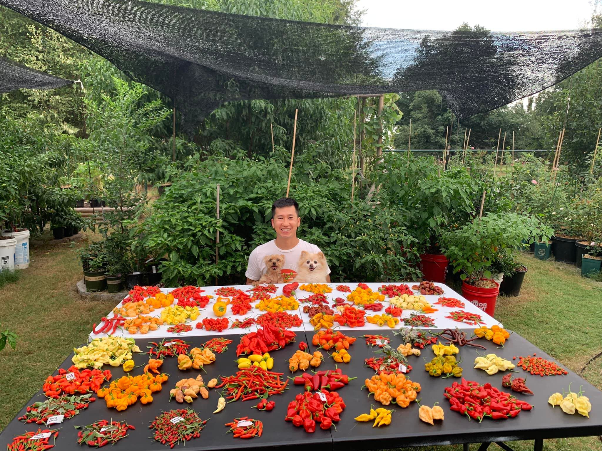 Lạ lùng chàng trai Việt đam mê ớt, ba năm nếm thử… 500 loại độc lạ - 1