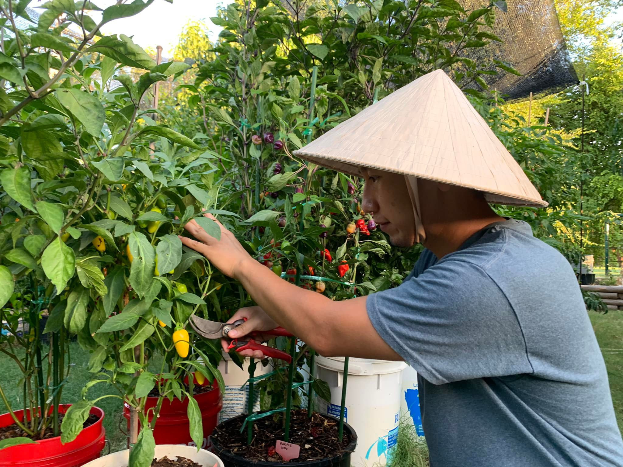Lạ lùng chàng trai Việt đam mê ớt, ba năm nếm thử… 500 loại độc lạ - 4