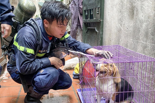 Bức ảnh anh lính cứu hỏa Đỗ Đức Việt bên chú chó gây xúc động