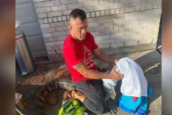 Bố gốc Việt ở Mỹ hạ gục cá sấu để giúp con gái đi học đúng giờ