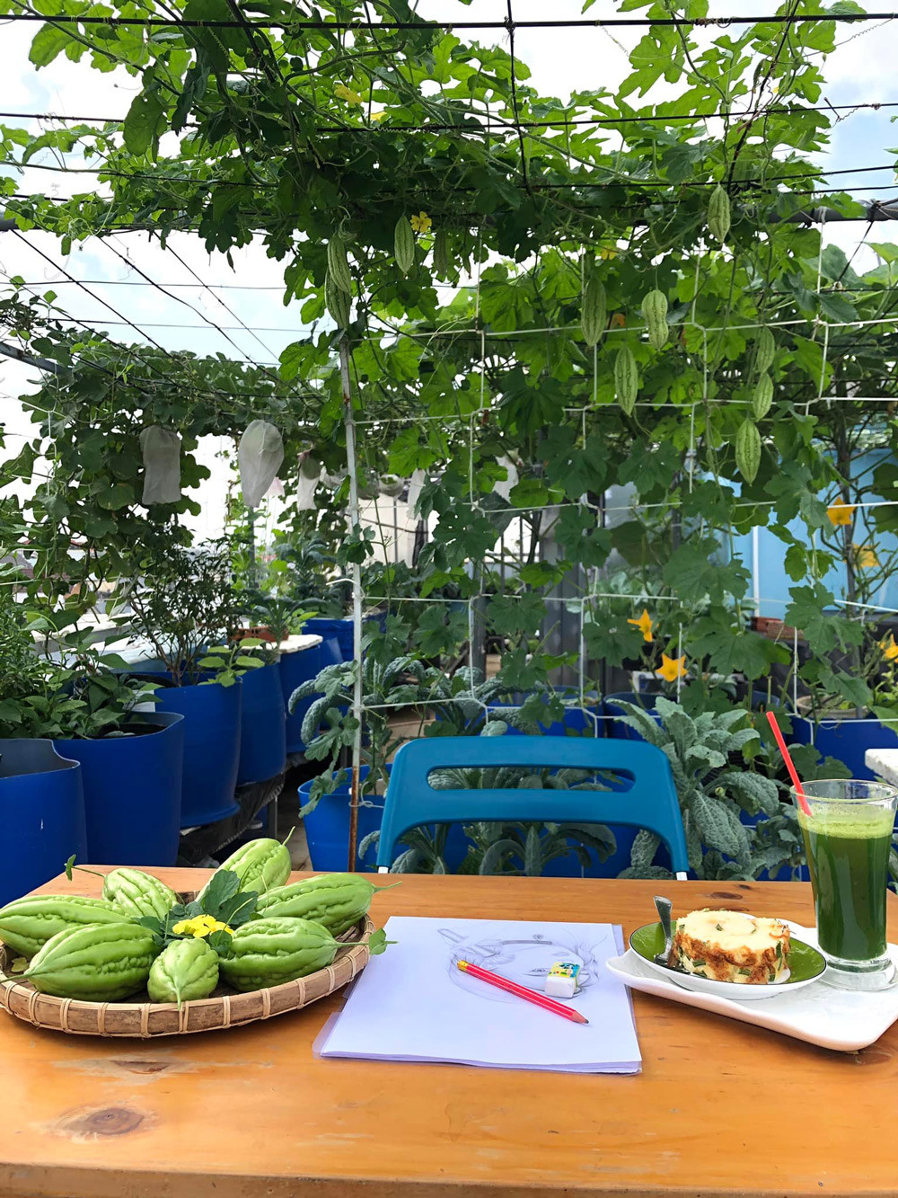 Vườn rau xanh mướt trên sân thượng của gia đình ở Đồng Nai