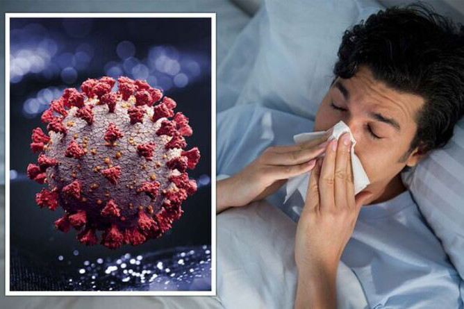 Phân biệt cúm A - nguyên nhân gây dịch bệnh hàng đầu với các loại cúm khác