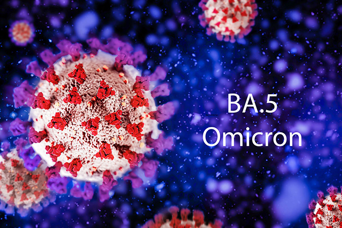 Những điều cần biết về BA.5 Omicron, biến chủng Covid-19 phổ biến nhất hiện nay