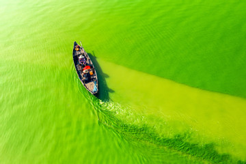 The magical algae season at Tri An Lake