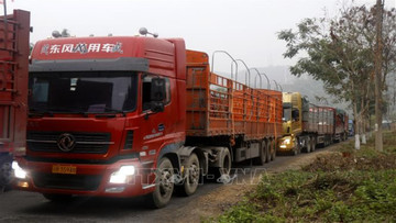 Thousands of trucks stranded at Lao Cai border gate