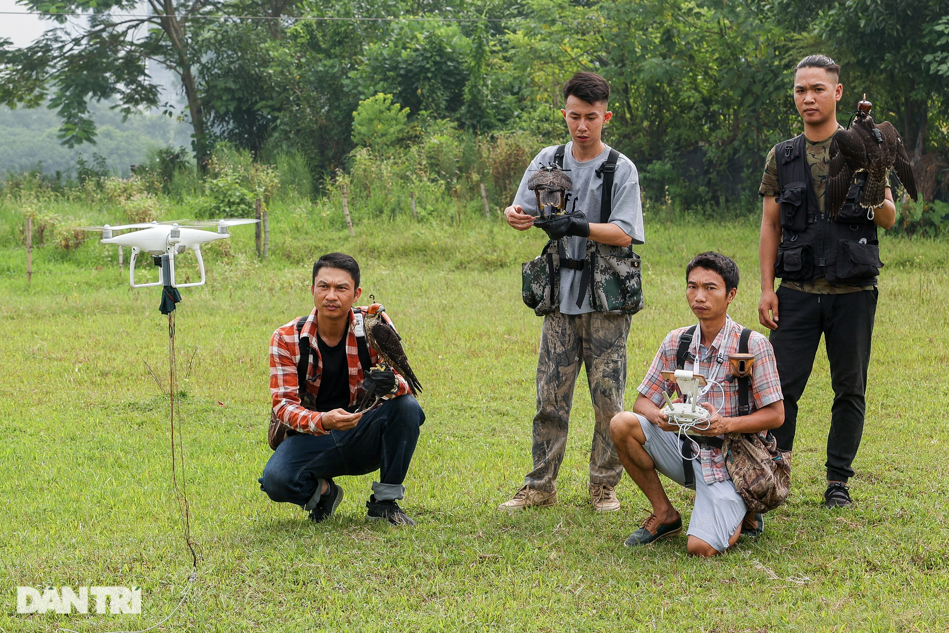 Dân chơi ở Hà Nội chi chục triệu đồng nuôi loài chim trinh sát trên không - 1