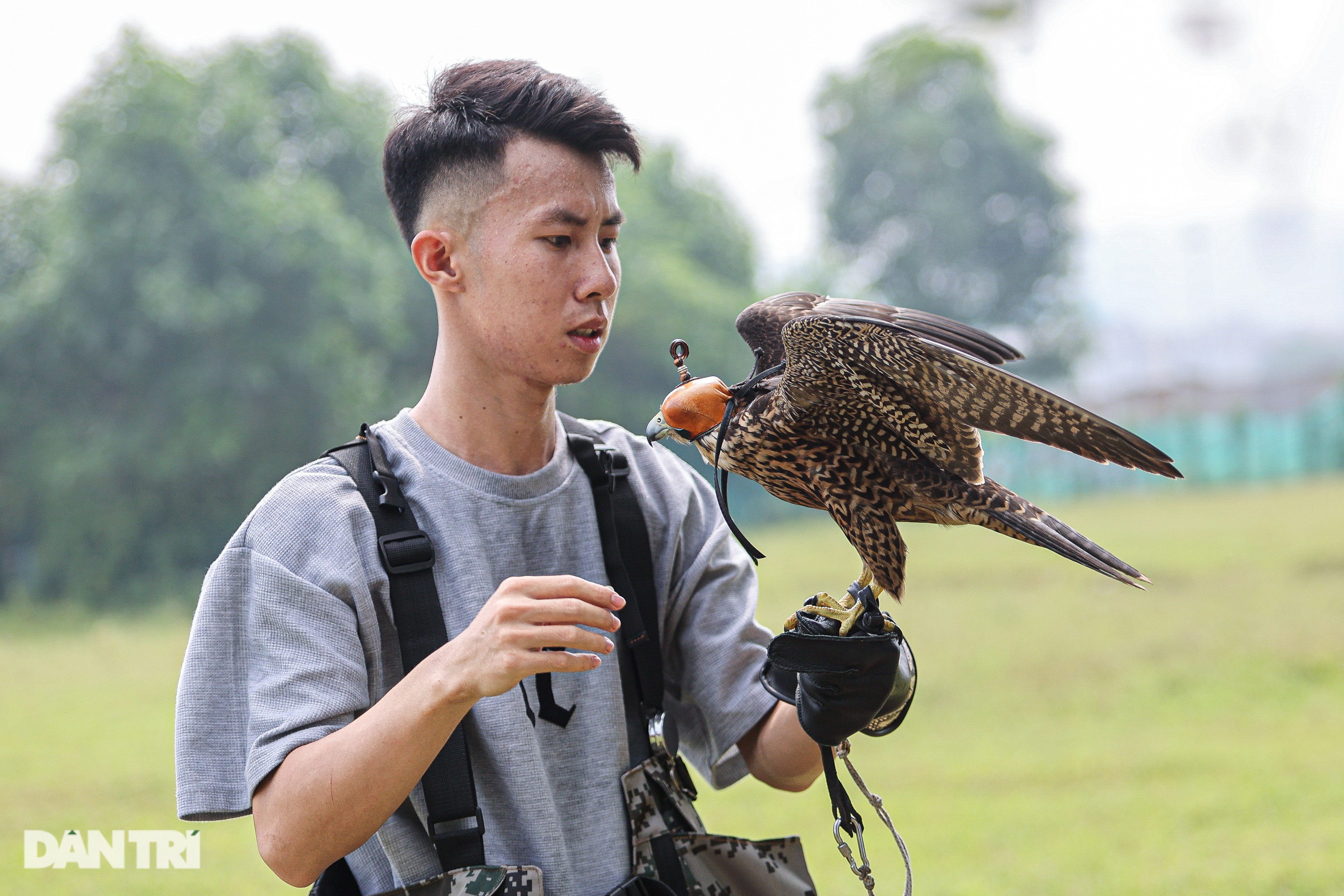 Dân chơi ở Hà Nội chi chục triệu đồng nuôi loài chim trinh sát trên không - 5