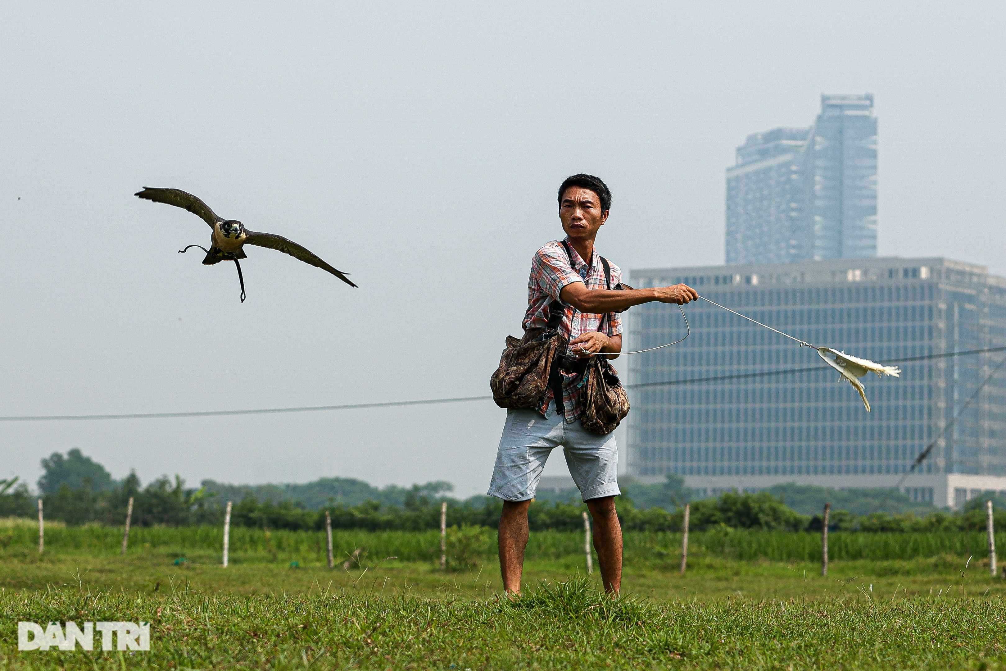 Dân chơi ở Hà Nội chi chục triệu đồng nuôi loài chim trinh sát trên không - 7