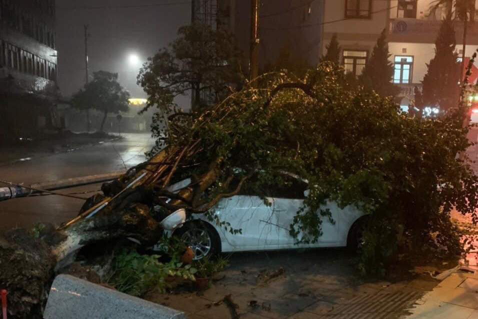 Bão số 3 quật đổ cây ở Quảng Ninh, nhiều ô tô chết máy do ngập cục bộ