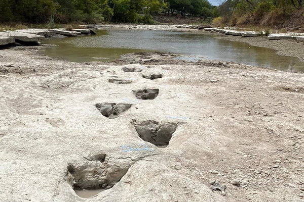 Phát hiện dấu chân khủng long 113 triệu năm dưới đáy sông do hạn hán trầm trọng