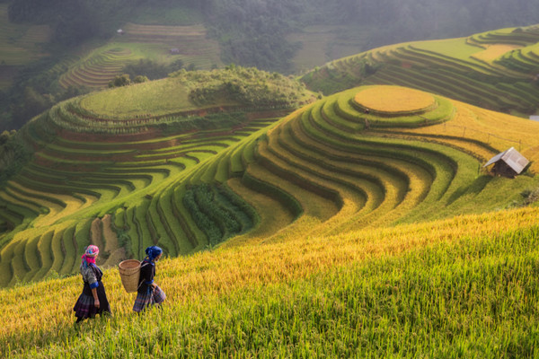 Mùa thu đẹp say lòng người khắp 3 miền đất nước