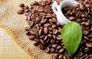 Coffee export turnover exceeds 2 billion USD in five months