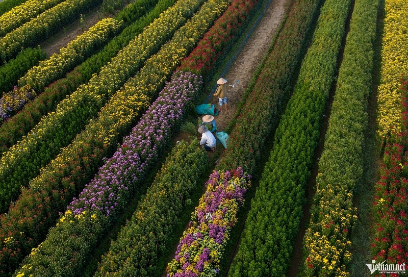 co do hue nhin tu tren cao dep nhu chon tien canh
