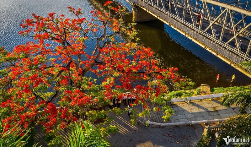 co do hue nhin tu tren cao dep nhu chon tien canh