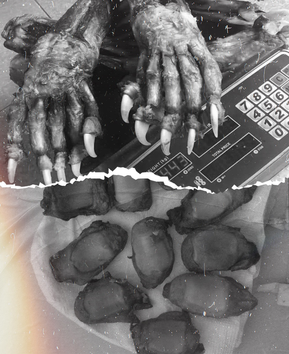 Thủ thuật phù phép cao hổ, thu lời tiền tỷ qua tiết lộ của một trùm buôn - 11